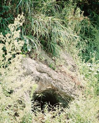 sinoda_2[1]