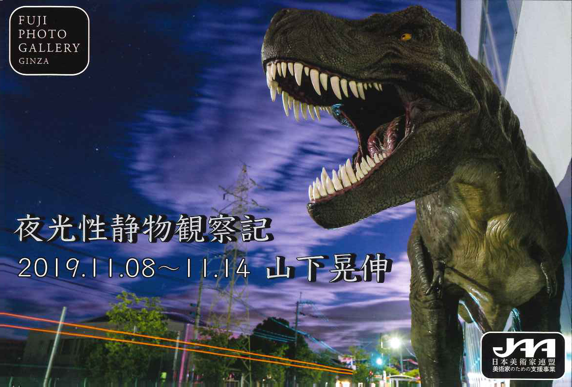 山下晃伸写真展「夜行性静物観察記」【2019年11月8日(金)〜11月14日(木)】