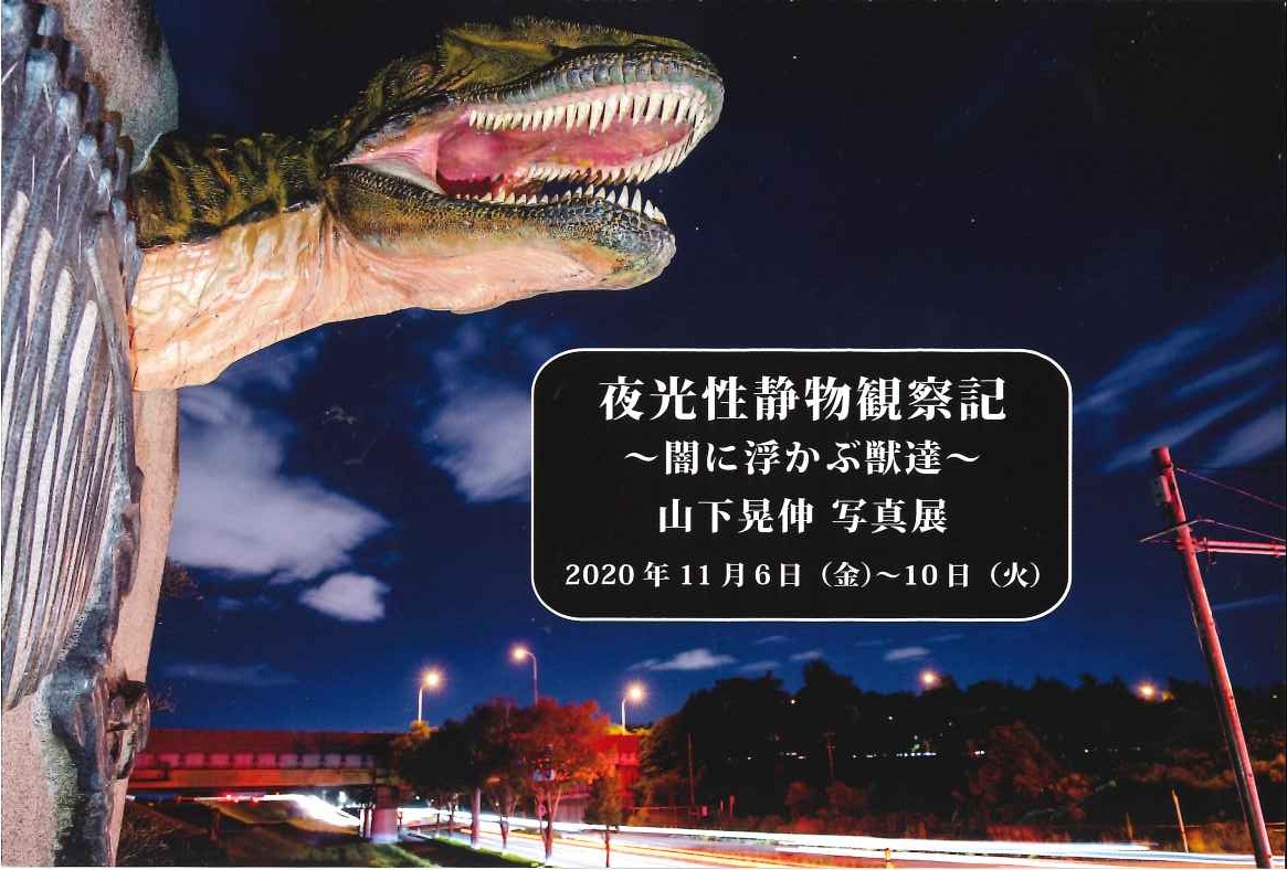 山下晃伸写真展「夜光性静物観察記～闇に浮かぶ獣達～」