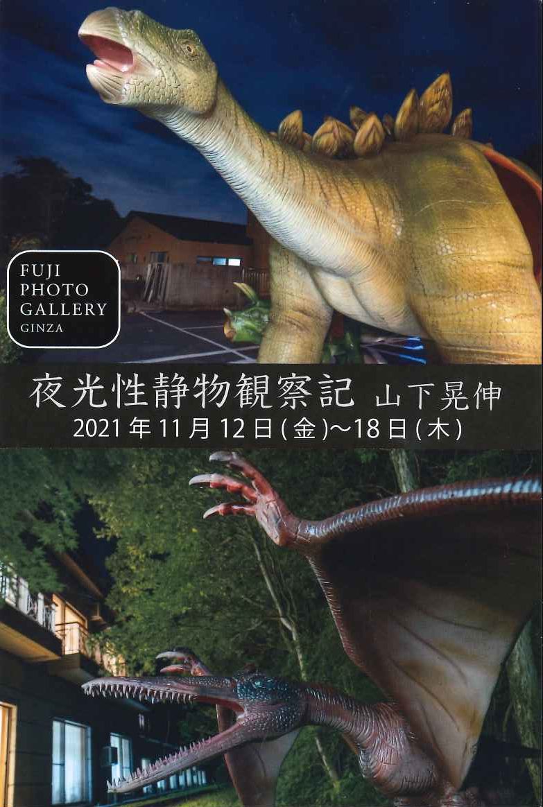 山下晃伸写真展「夜光性静物観察記」