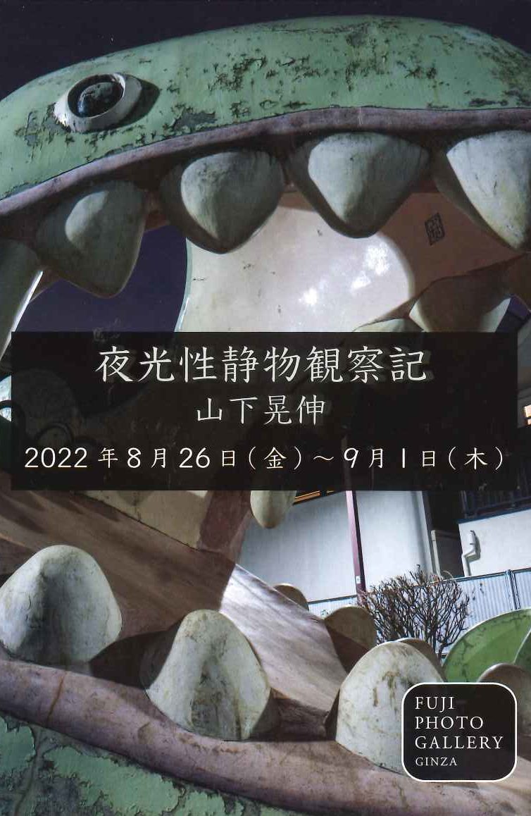 山下晃伸写真展「夜光性静物観察記」