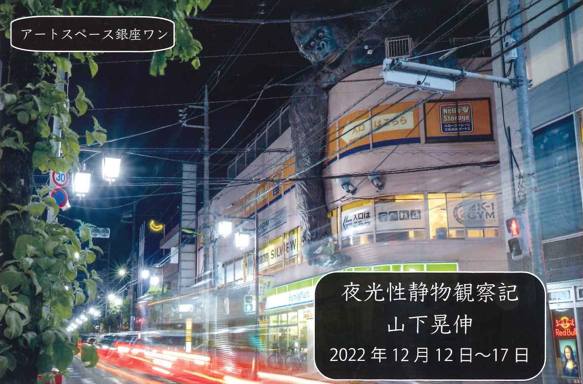 山下晃伸写真展「夜光性静物観察記」