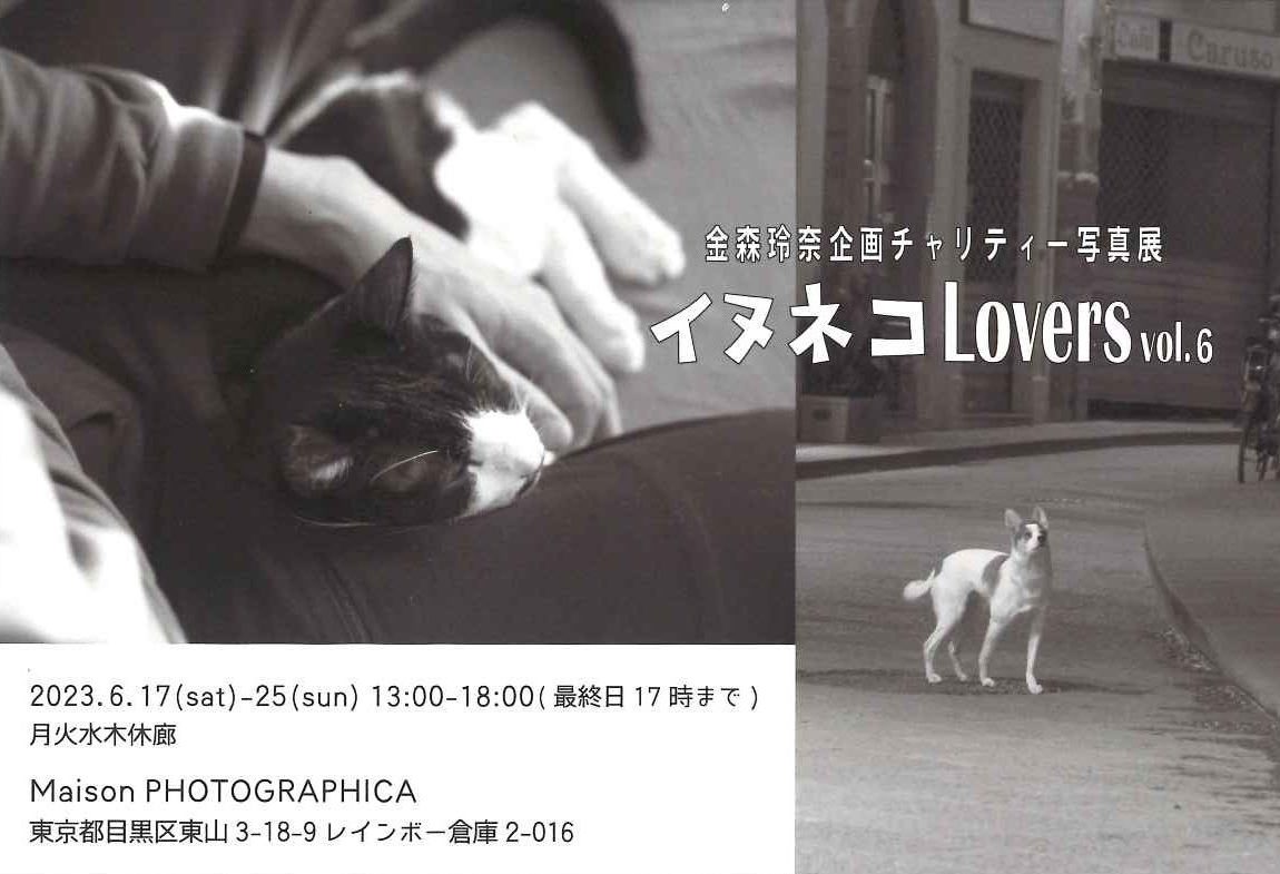 金森玲奈企画チャリティー写真展「イヌネコLovers vol.6」