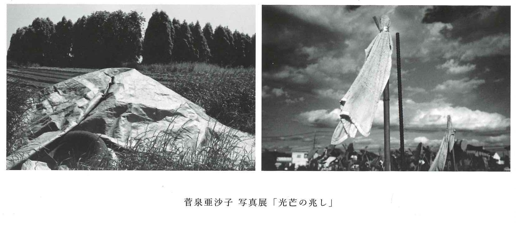 菅泉亜沙子写真展「光芒の兆し」