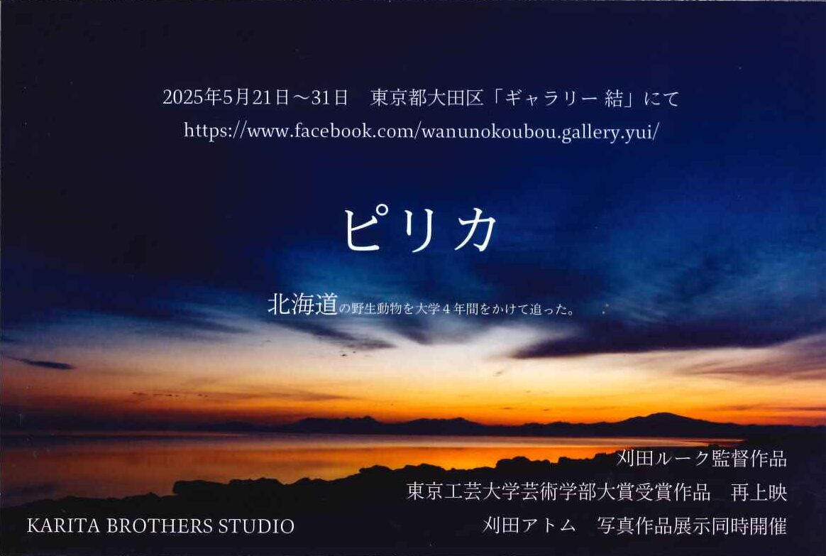 刈田アトム・刈田ルーク作品展「ピリカ」