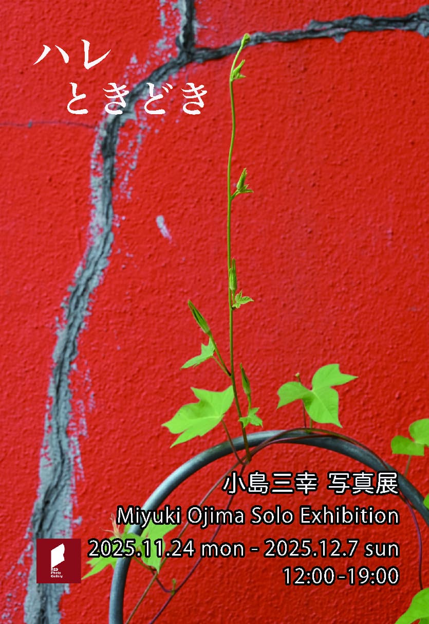 小島三幸 写真展「ハレ ときどき」