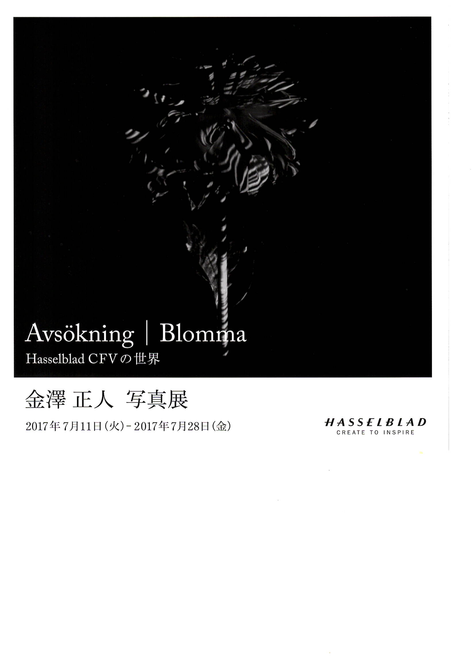 金澤 正人 写真展　「Avsökning|Blomma」【開催日：2017年7月11日（火）- 7月28日（金）】
