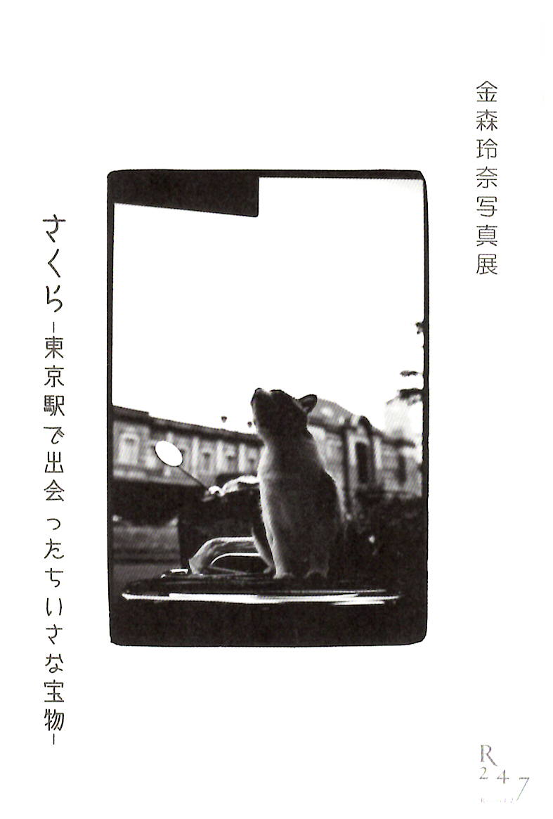 金森玲奈 写真展 「さくらー東京駅で出会ったちいさな宝物ー」【開催日:2018年4月17日(火)~29日(日)】