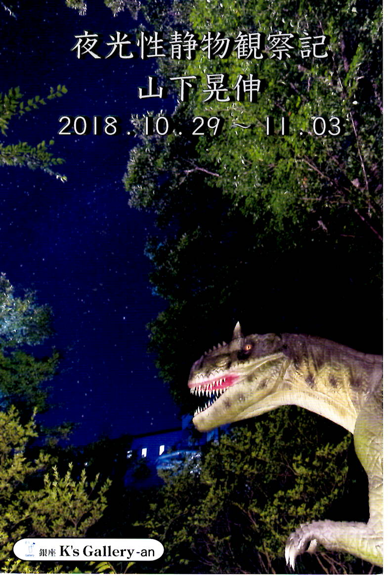 山下　晃伸　写真展「夜光性静物観察記」【開催日：2018年10月29日(月)～11月3日(土)】