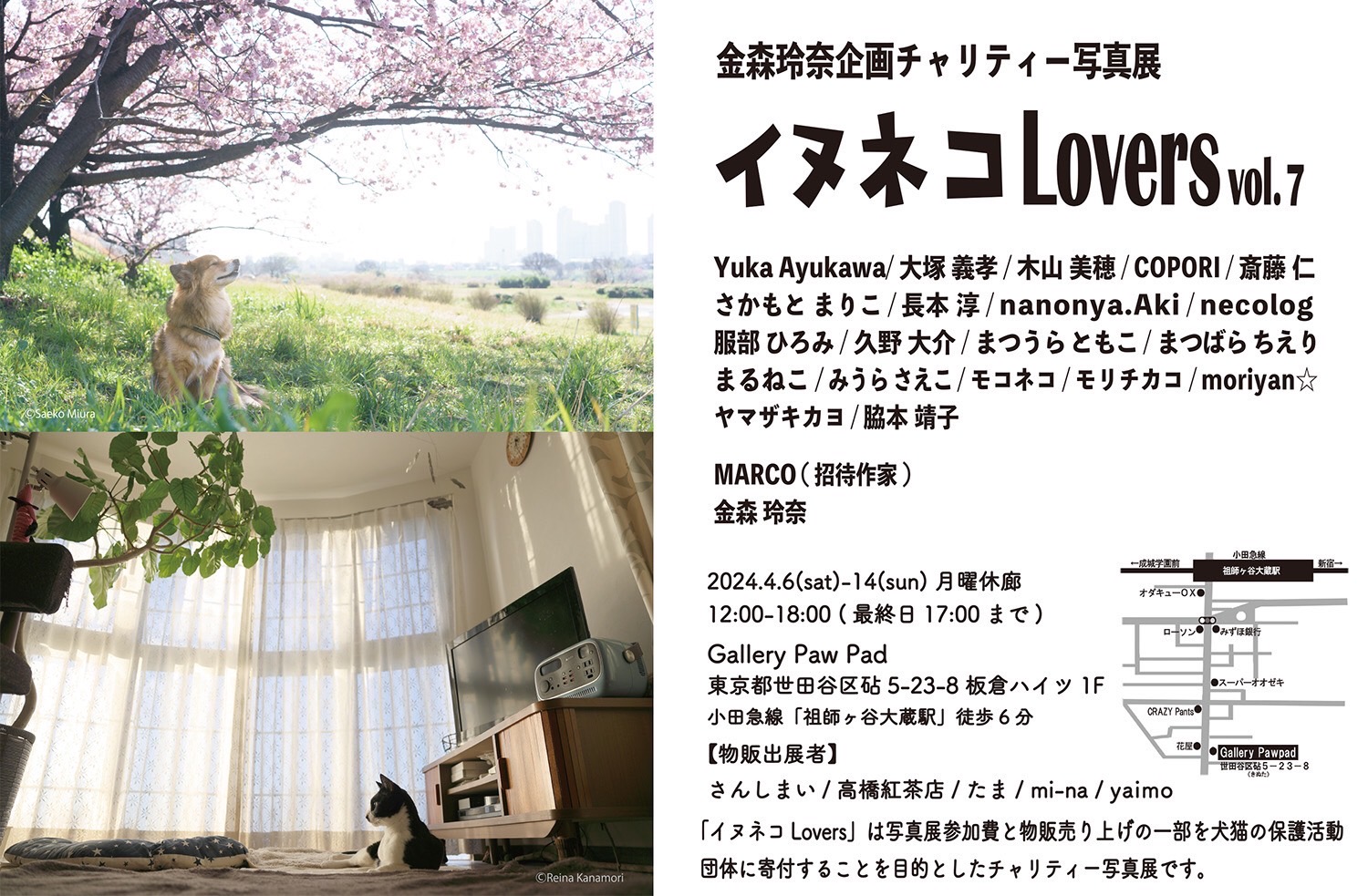 金森玲奈企画チャリティー写真展「イヌネコLovers vol.7」