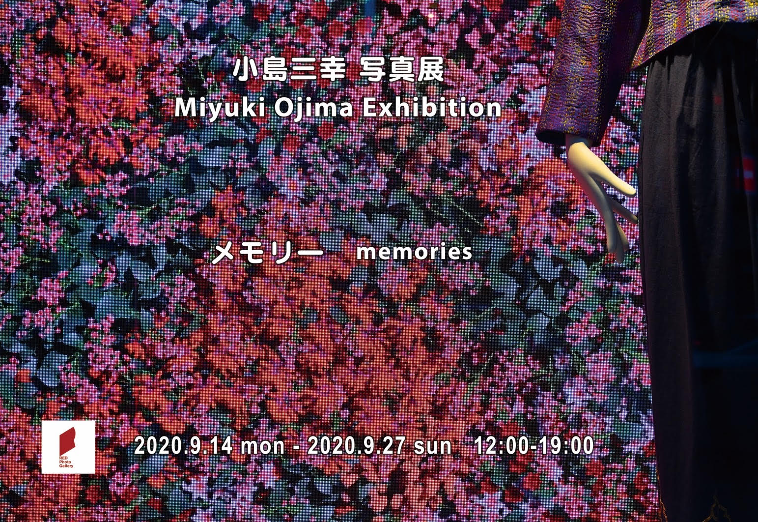 小島三幸写真展「メモリー memories」【2020年9月14日（月）〜9月27日（日）】