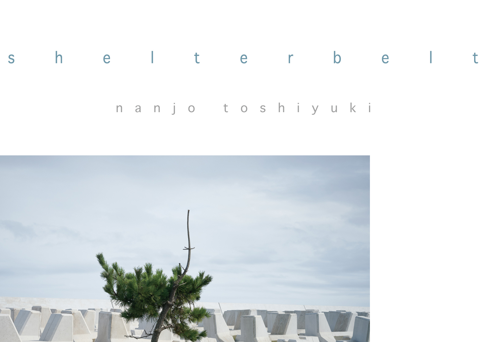 南條敏之作品集「shelterbelt」