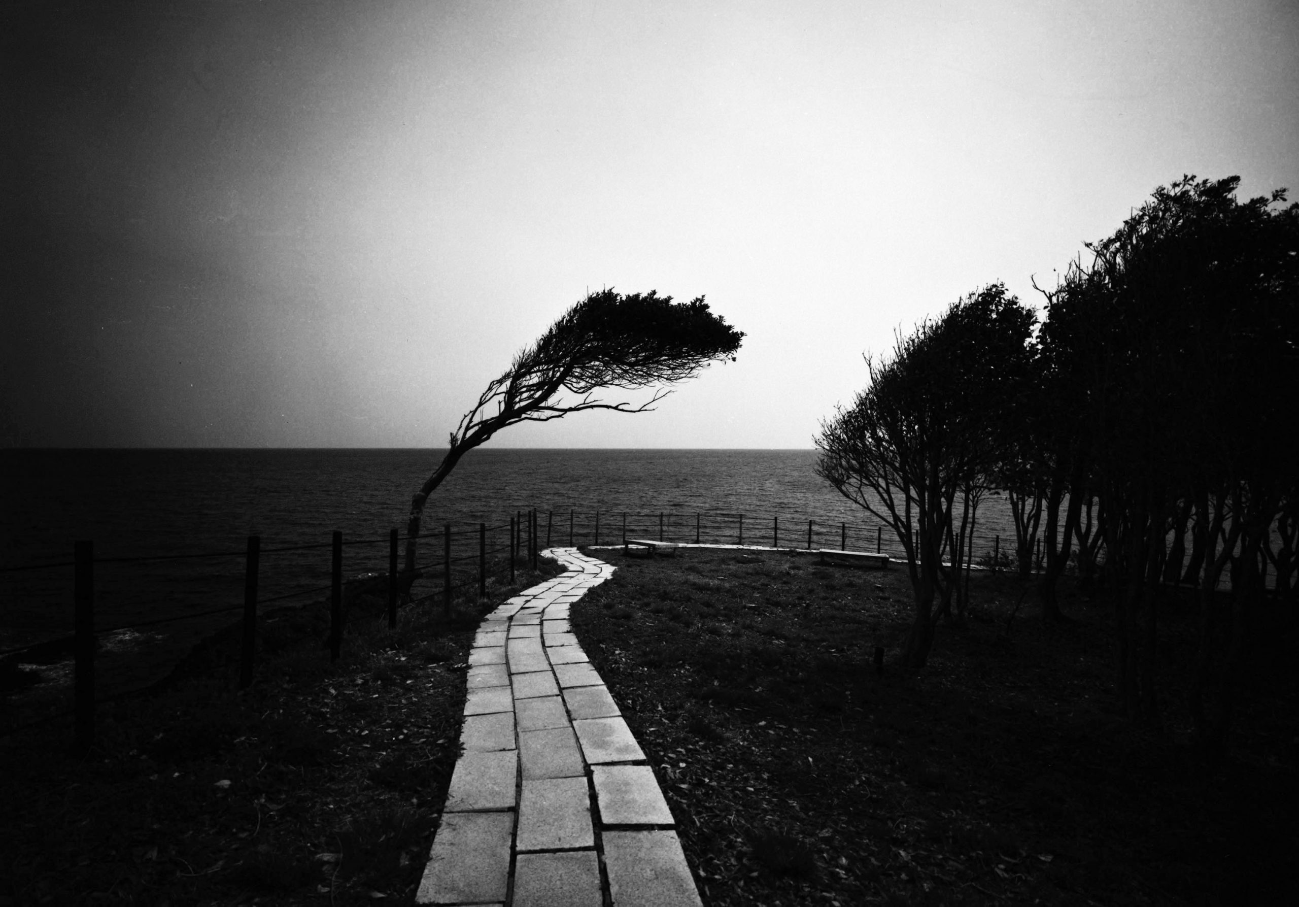 内藤　明写真展