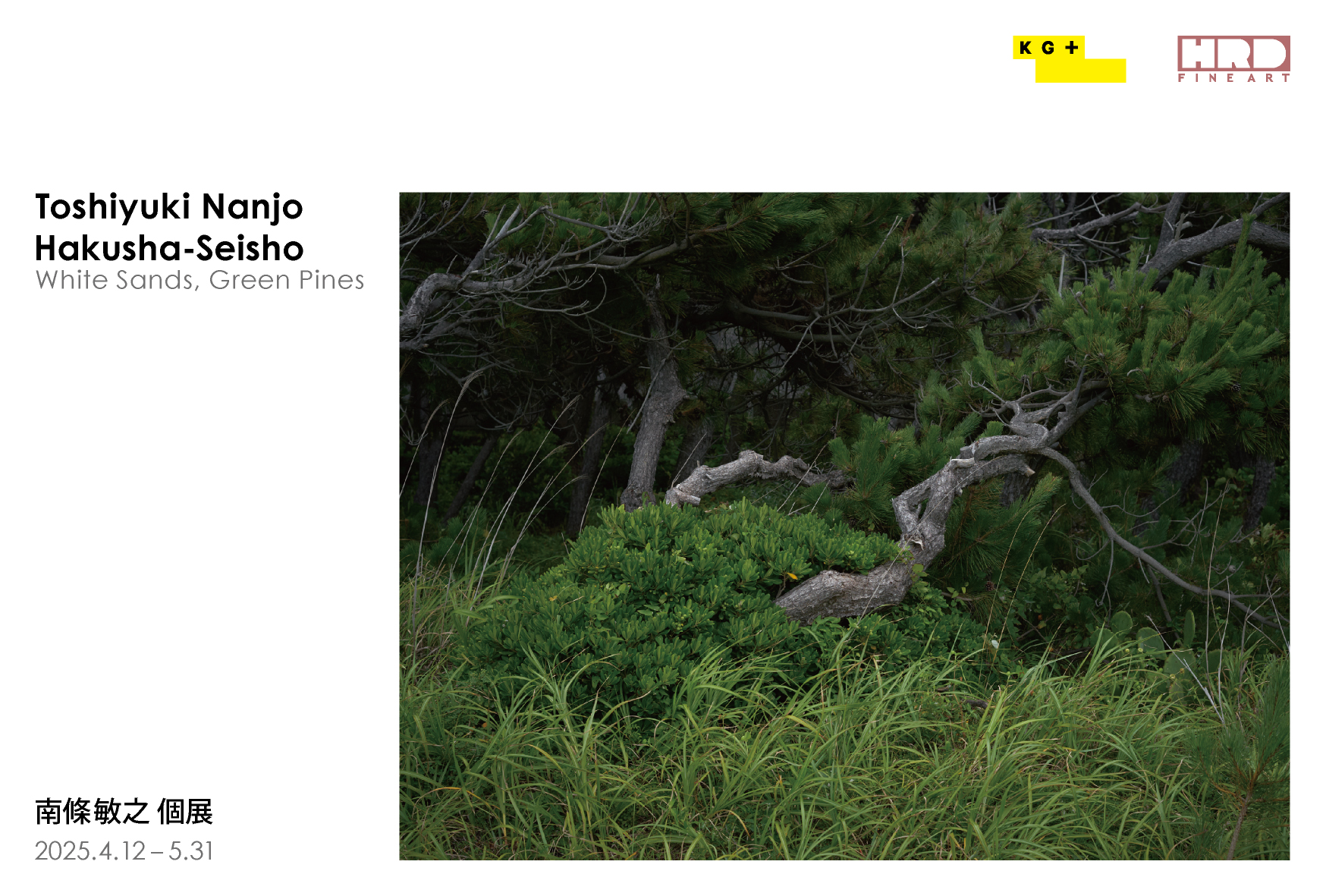 南條敏之写真展「Hakusha-Seisho – White Sands, Green Pines」