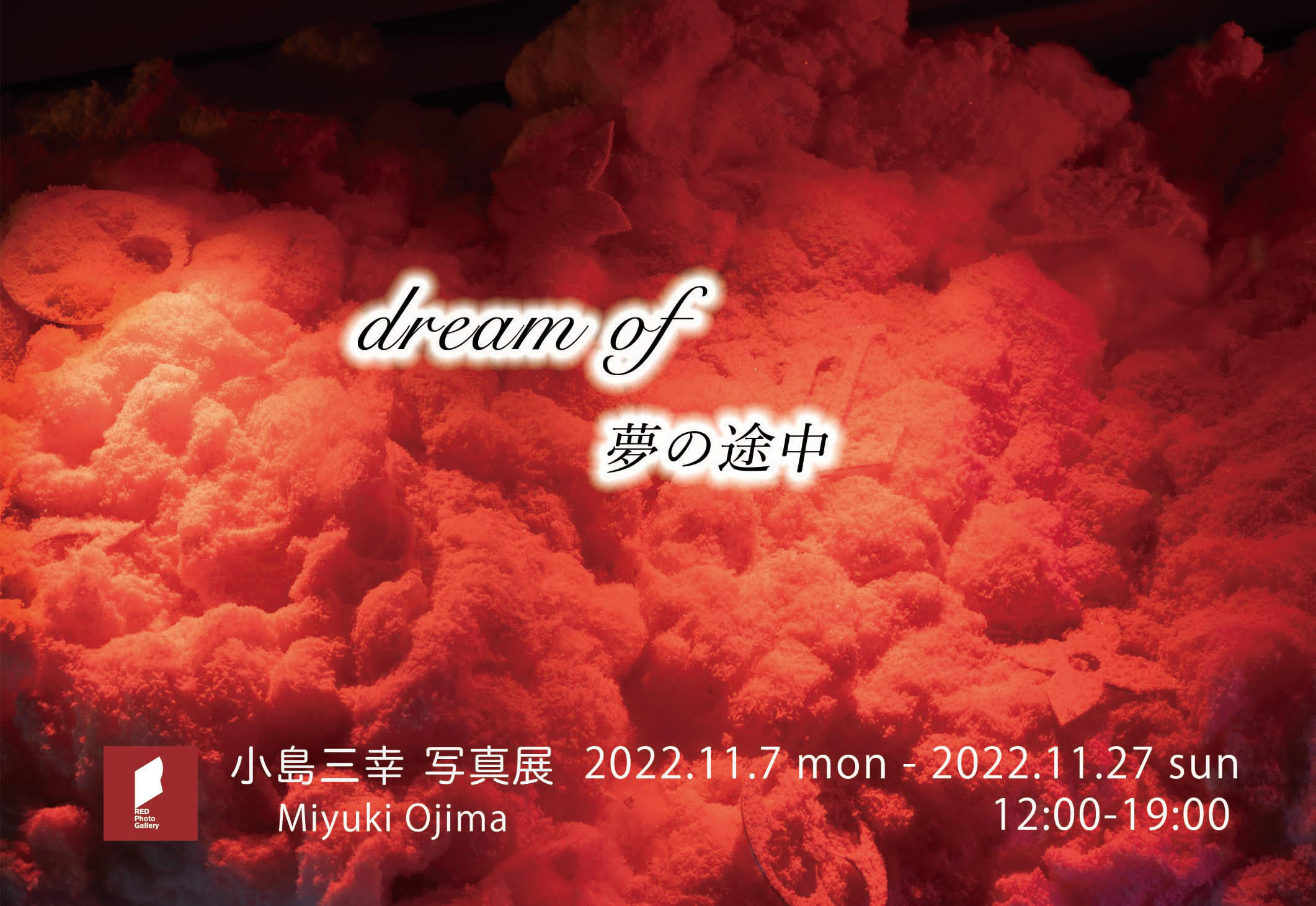 小島三幸写真展「dream of 〜夢の途中〜」
