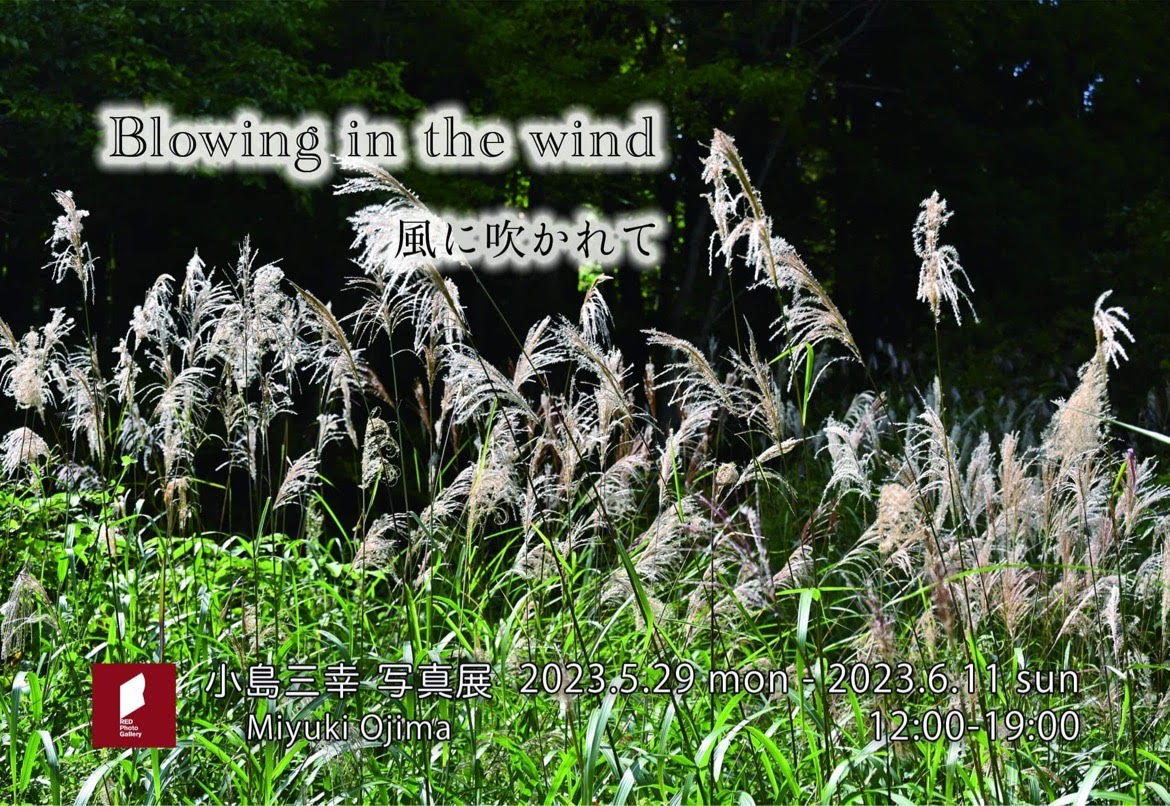 小島三幸写真展「Blowing in the wind　風に吹かれて」
