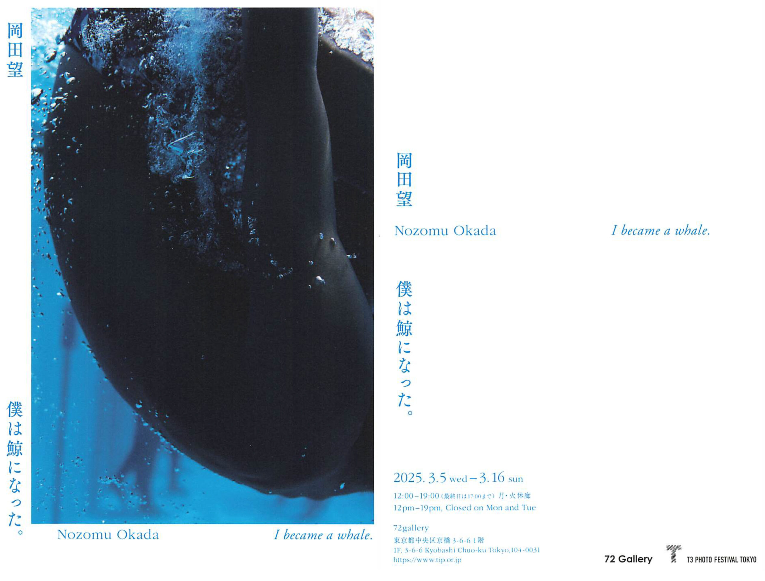 岡田望写真展「僕は鯨になった。」