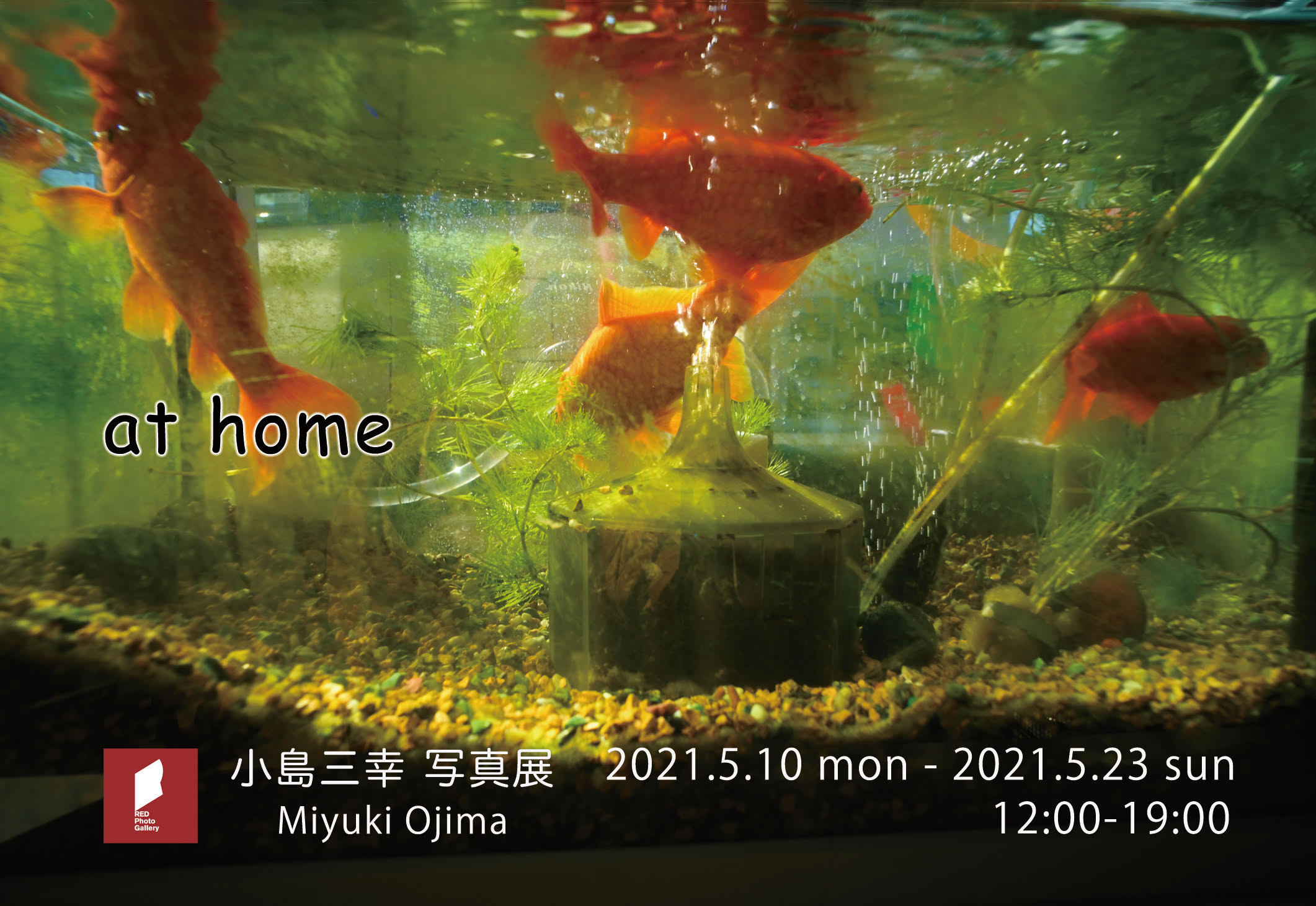 小島三幸さん(78期)写真展「at home」