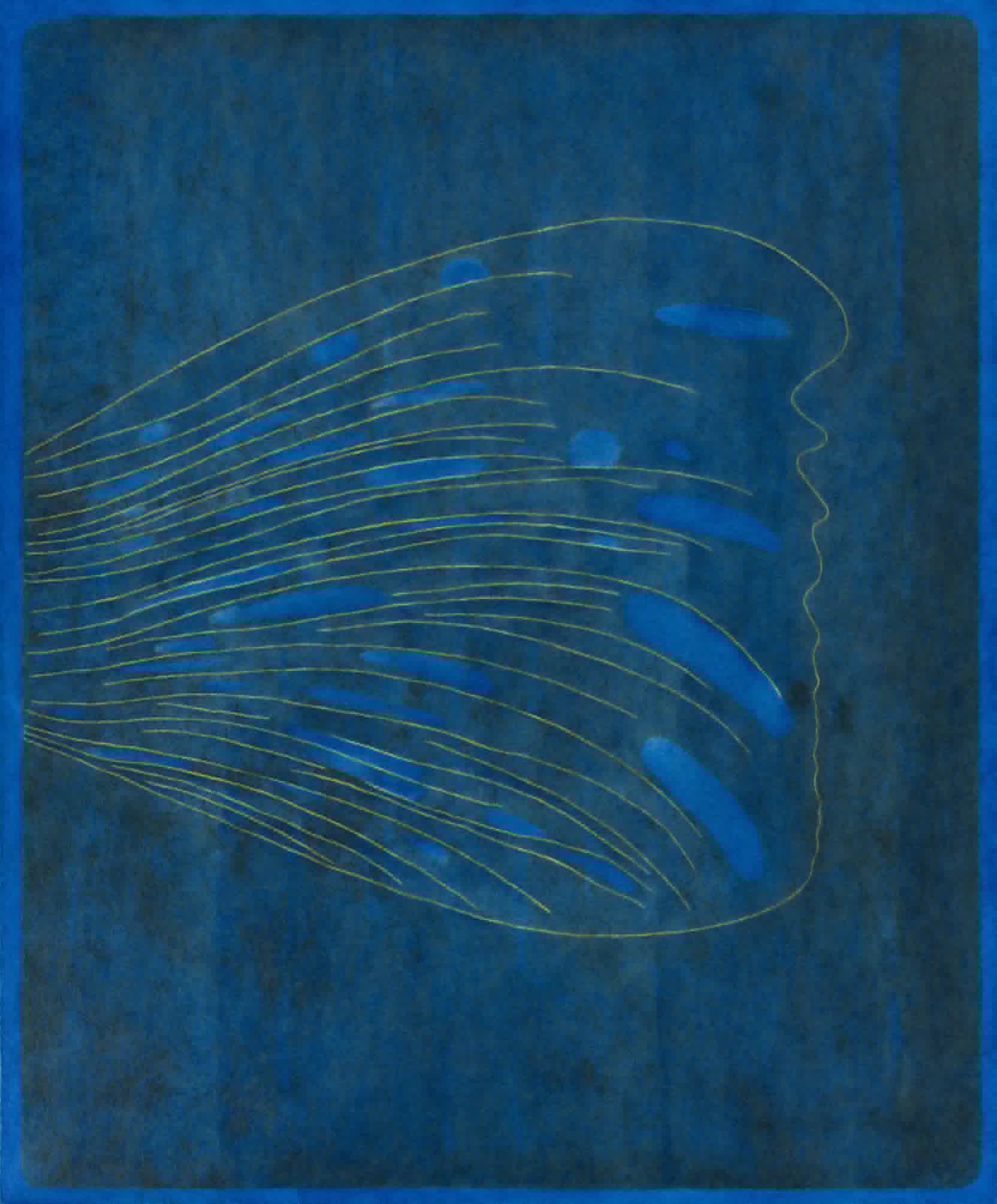 【展覧会】草井裕子「blue」